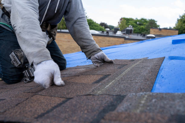 Best Roof Gutter Cleaning  in Plains, TX