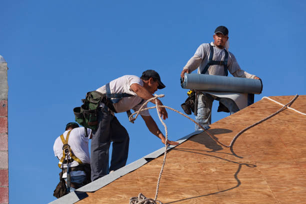 Best Metal Roofing Contractor  in Plains, TX