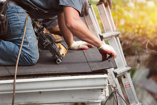 Best Local Roofing Companies  in Plains, TX